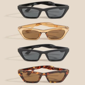 Twelve Piece Acetate Fashion Sunglasses