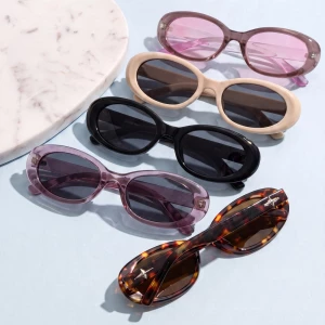 Retro Oval Frame Tinted Sunglasses