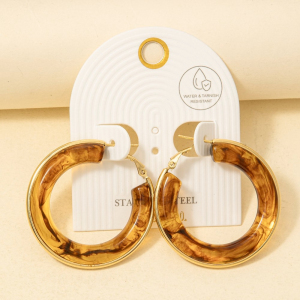 Stainless Steel Edge Acrylic Latch Hoop Earrings