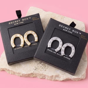 Stainless Steel Horseshoe Stud Earrings With Cz