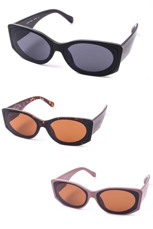 Twelve Piece Assorted Tortoise Sunglasses