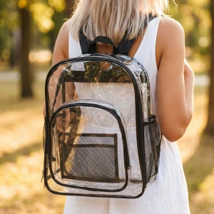 Clear Transparent School Backpack