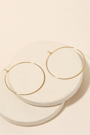 Thin Metallic Hoop Earrings