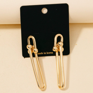 Long Oval Link Dangle Earrings