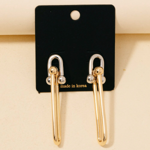 Long Oval Link Dangle Earrings