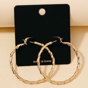 Tight Twisted Latch Hoop Earrings