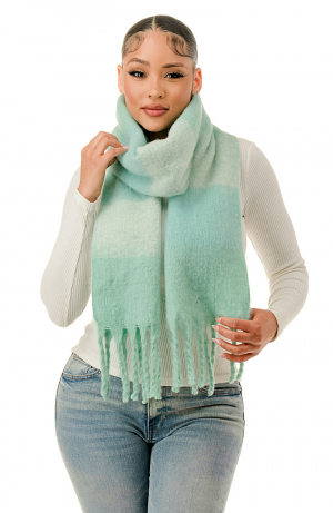 Woven Fringe Oblong Scarf
