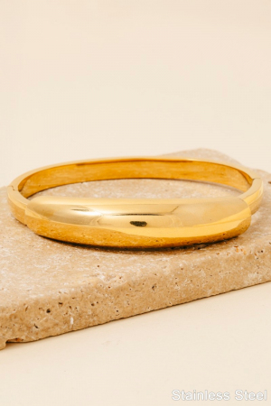 Stainless Steel Simple Rounded Hinge Bangle Bracelet