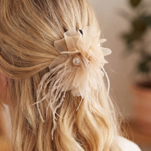 Feather And Ruffles Hair Claw