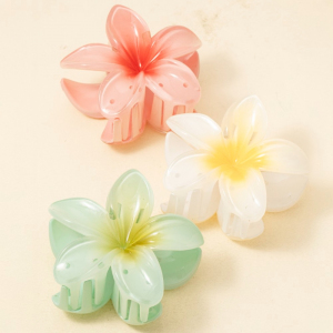 3Pc Large Vibrant Gradient Flower Hair Claw