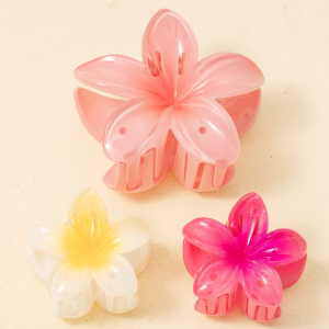 Mixed Size 3Pc Gradient Flower Hair Claw Set