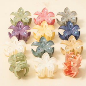 12Pc Mixed Vibrant Iridescent Flower Hair Claw Set