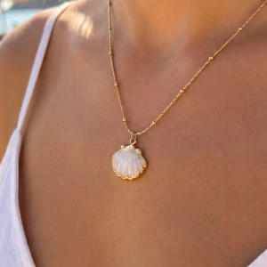 Stainless Steel Scallop Shell Pendant Necklace