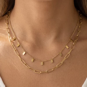 Paperclip Chain Layered Necklace With Tag Fringe