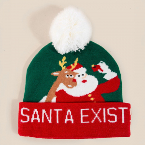 Santa Exists Christmas Beanie
