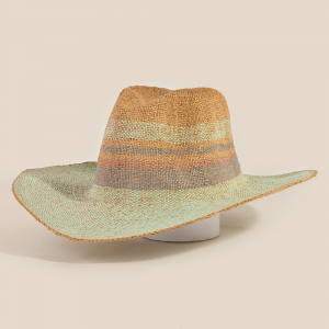 Spring Hue Sun Raffia Hat