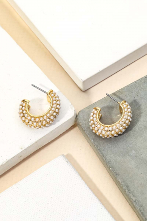 Pave Rhinestone Hoop Earrings