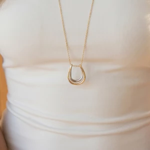 Two Tone Horseshoe Pendant Necklace
