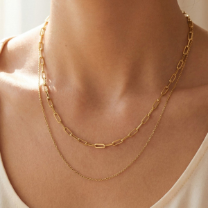 Double Chain Layered Necklace
