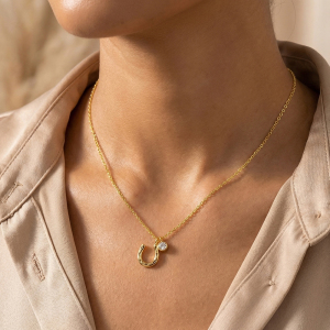 Gold Dipped Horse Shoe And Cz Charm Necklace