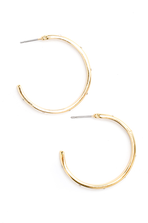 Simple Metallic Hoop Earrings