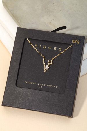 Secret Box Pisces Constellation Necklace