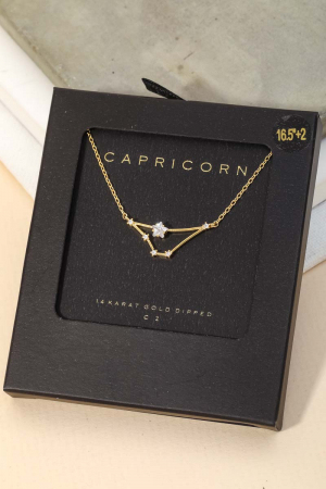 Secret Box Capricorn Constellation Necklace