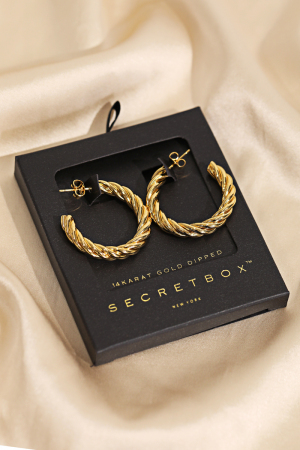 Secret Box Round Twist Hoop Earrings