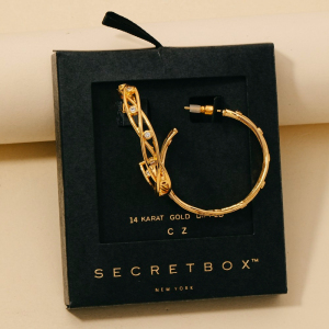 Secret Box Gold Dipped Cz Station Woven Wire Hoop Earrings
