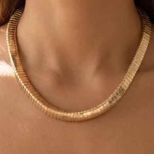 Wide Flat Omega Chain Short Necklace