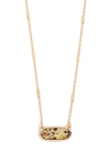 DALMATIAN